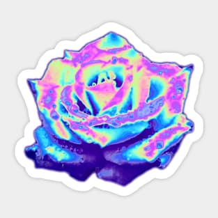 Holo Rose black Sticker